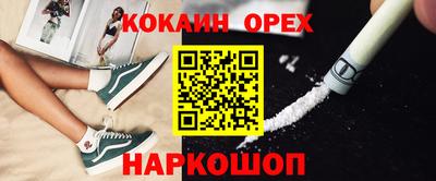 тгк Новозыбков