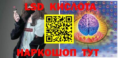 тгк Новозыбков