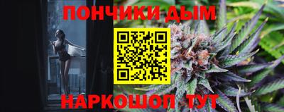 альфа пвп Новодвинск