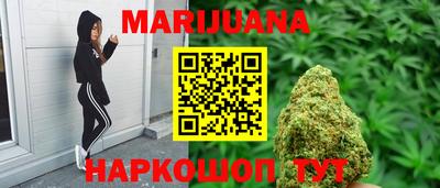 альфа пвп Новодвинск