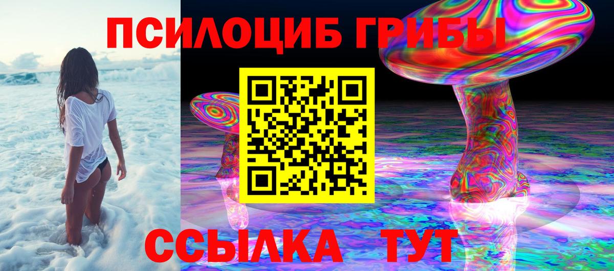 Галлюциногенные грибы MAGIC MUSHROOMS  Вход с VPN  Тулун 